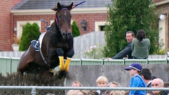 Warrnambool Racing Carnival - Punters.com.au