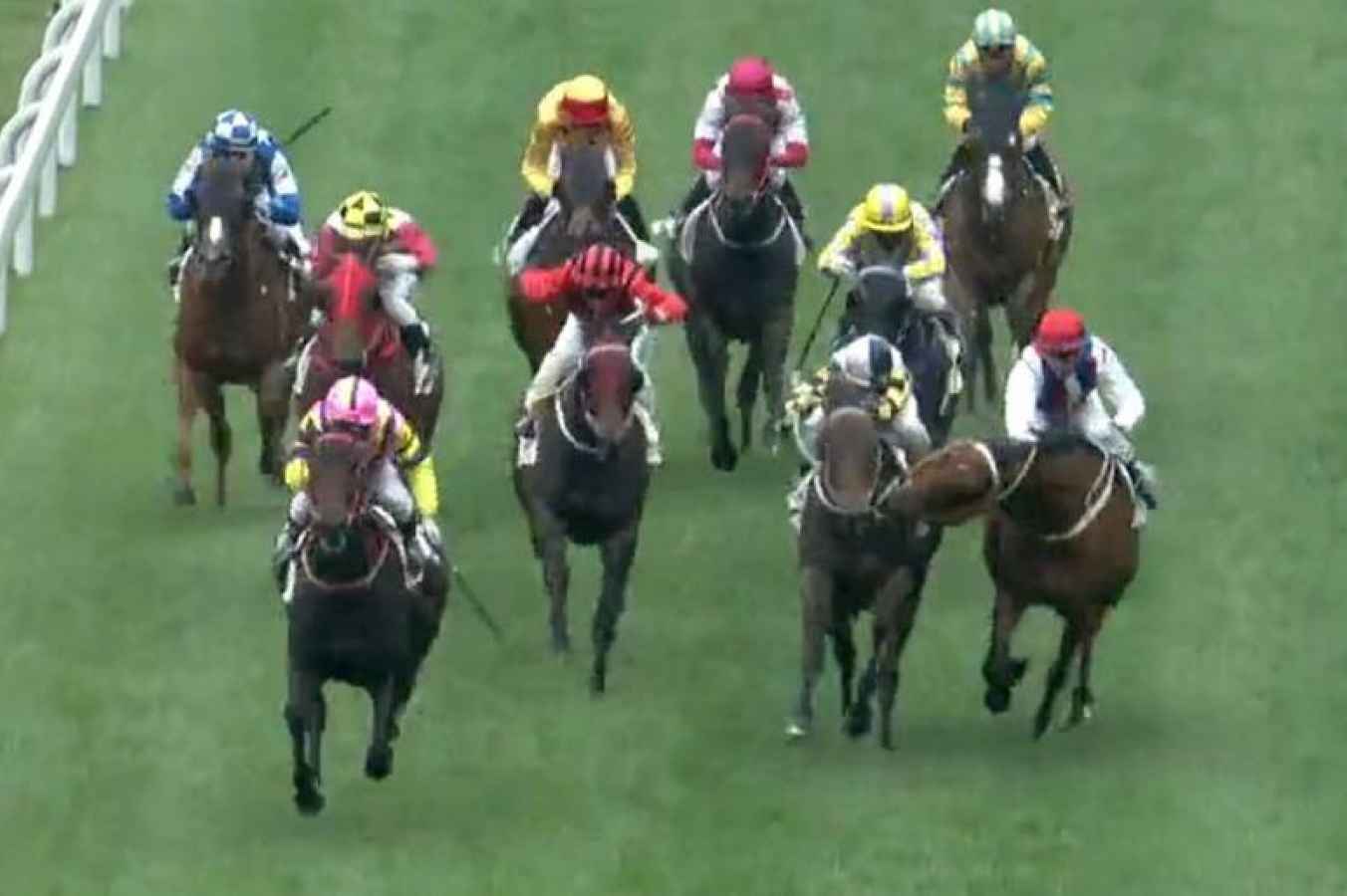 Fiery horse bites rival (again!)