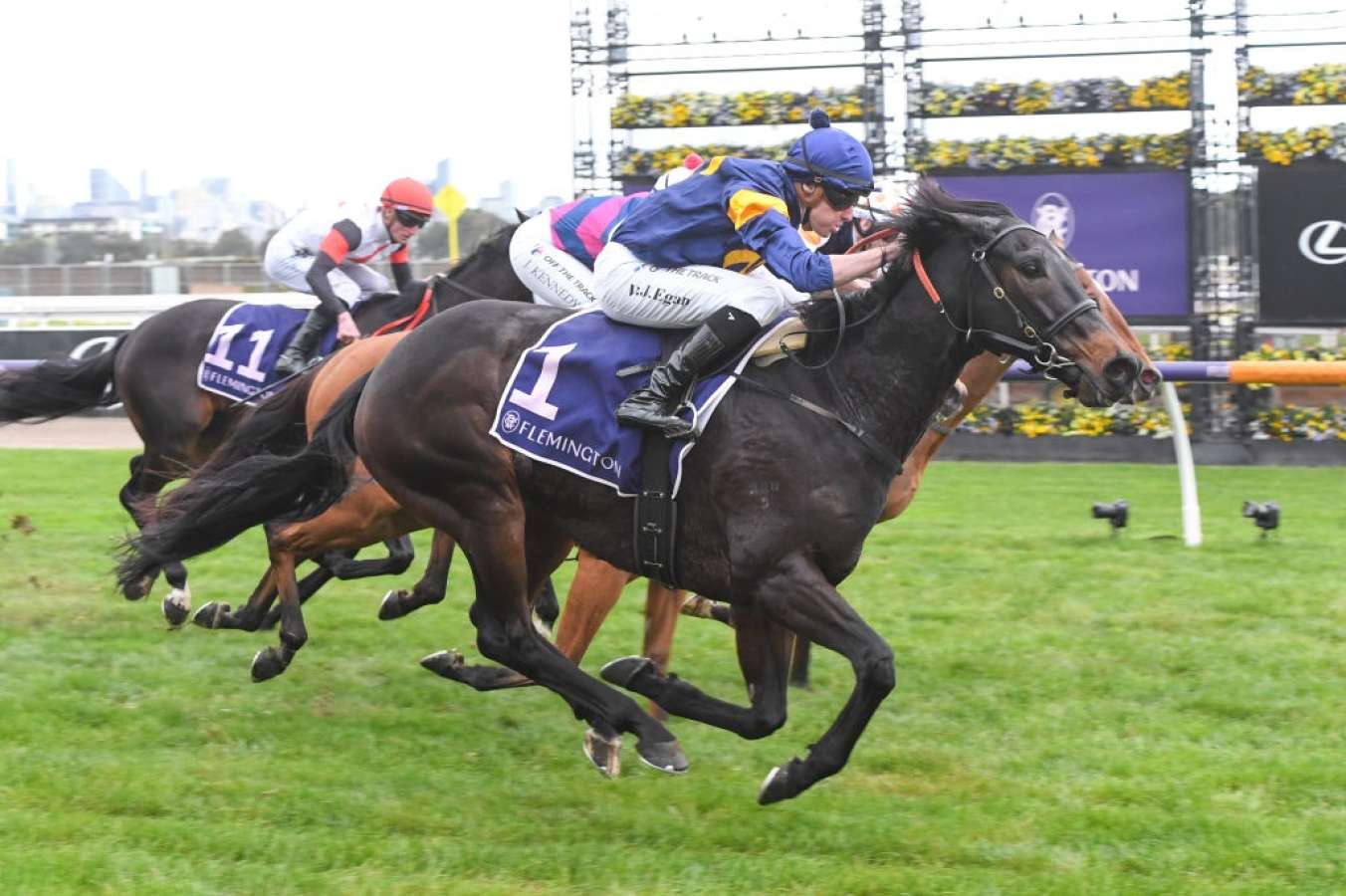 The Gold Rush Field - 2024