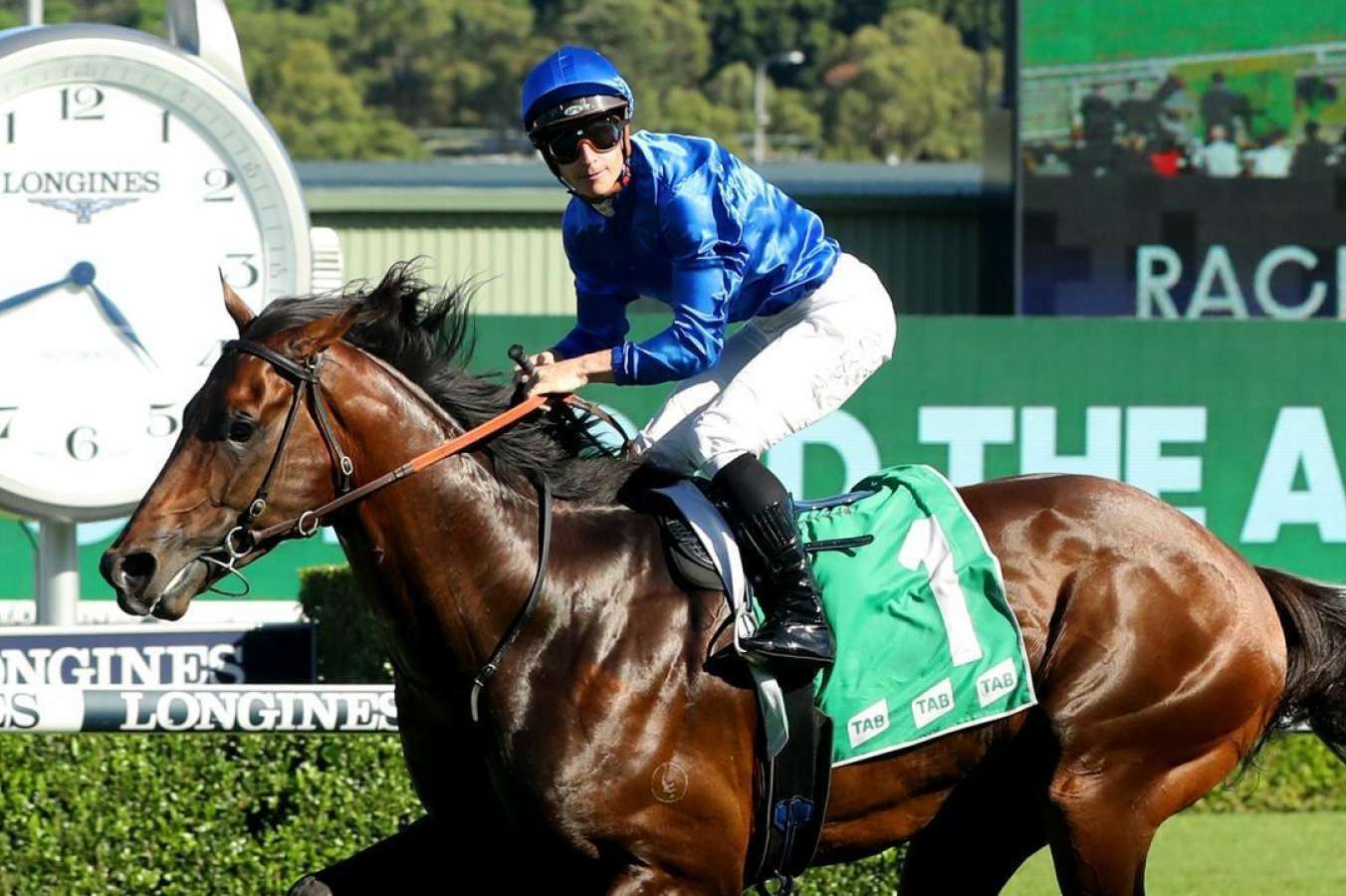 George Ryder Stakes: No Anamoe pressure for James Cummings