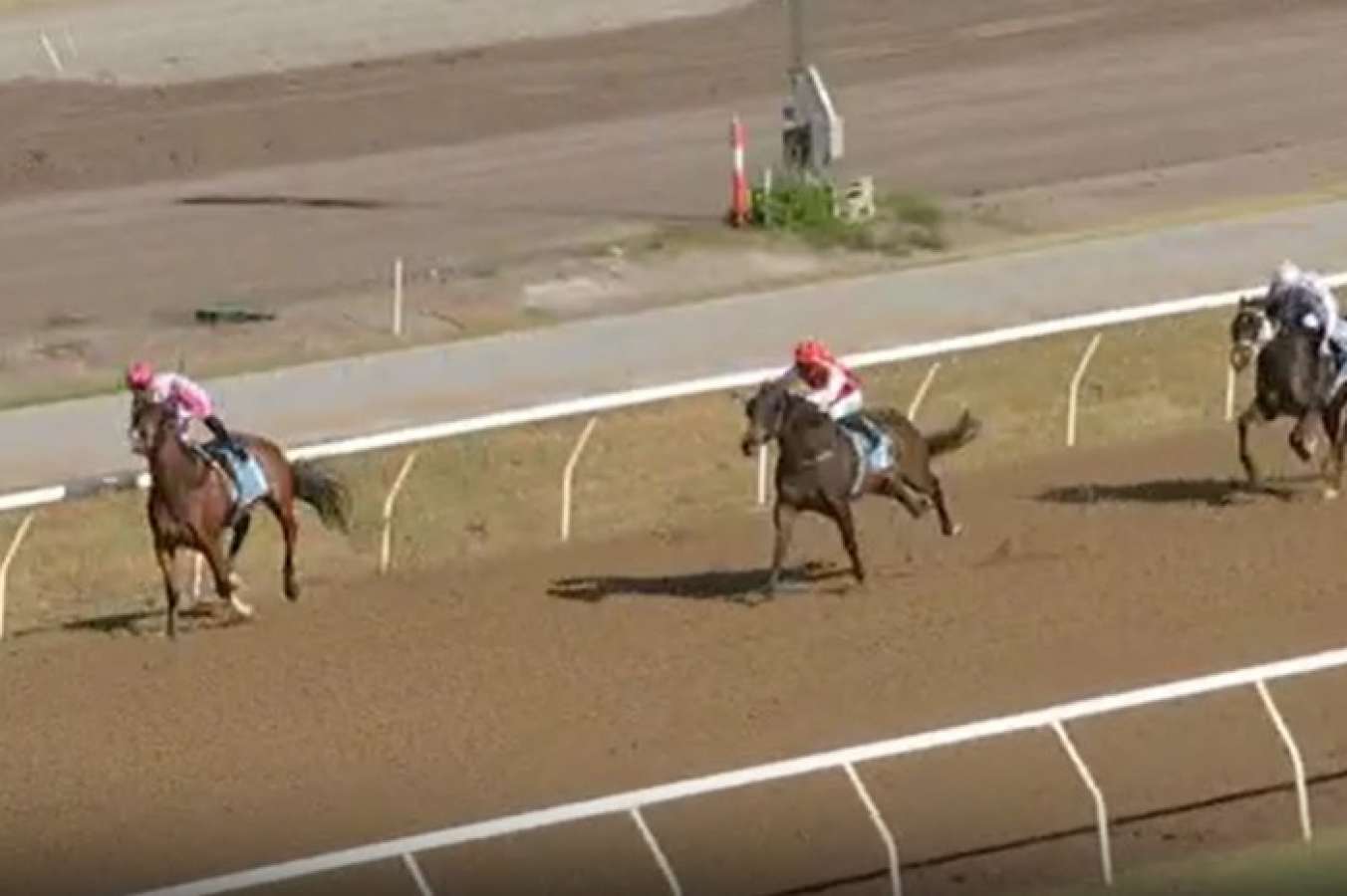 WATCH Favourite snatches defeat from the jaws of victory