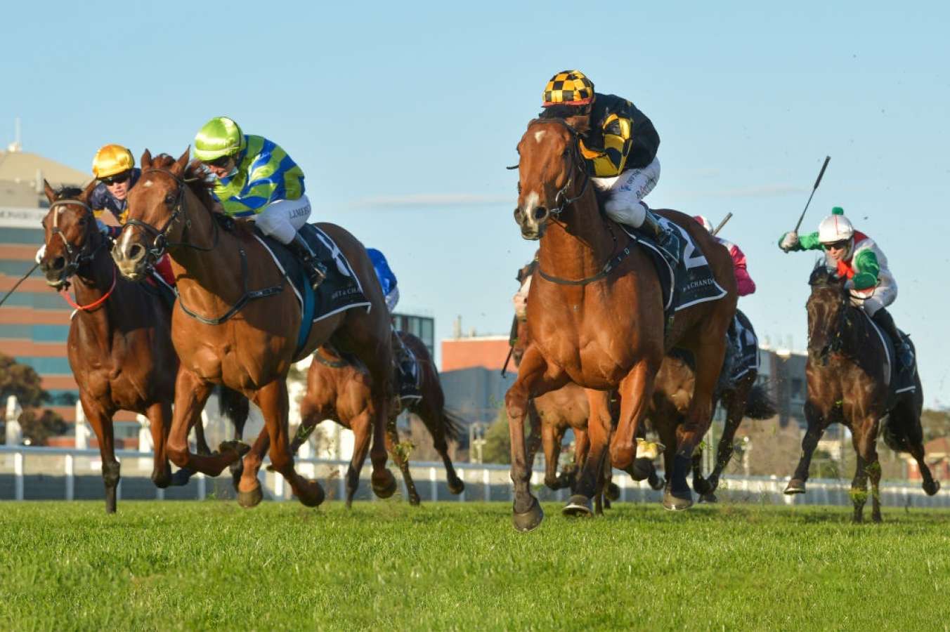 Punters post-race: Memsie Stakes day in review