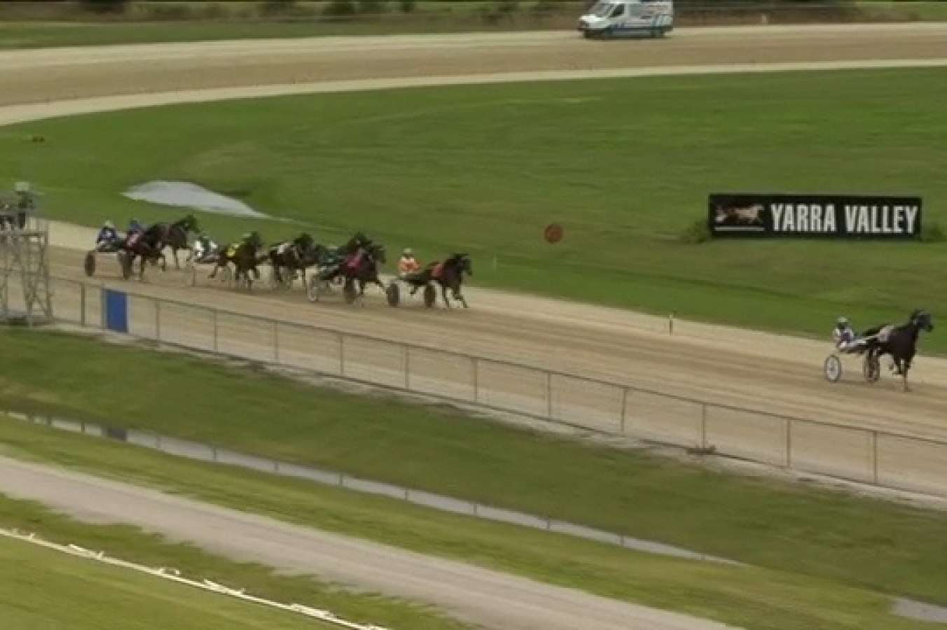 Favourite dishes out another sick beat for punters