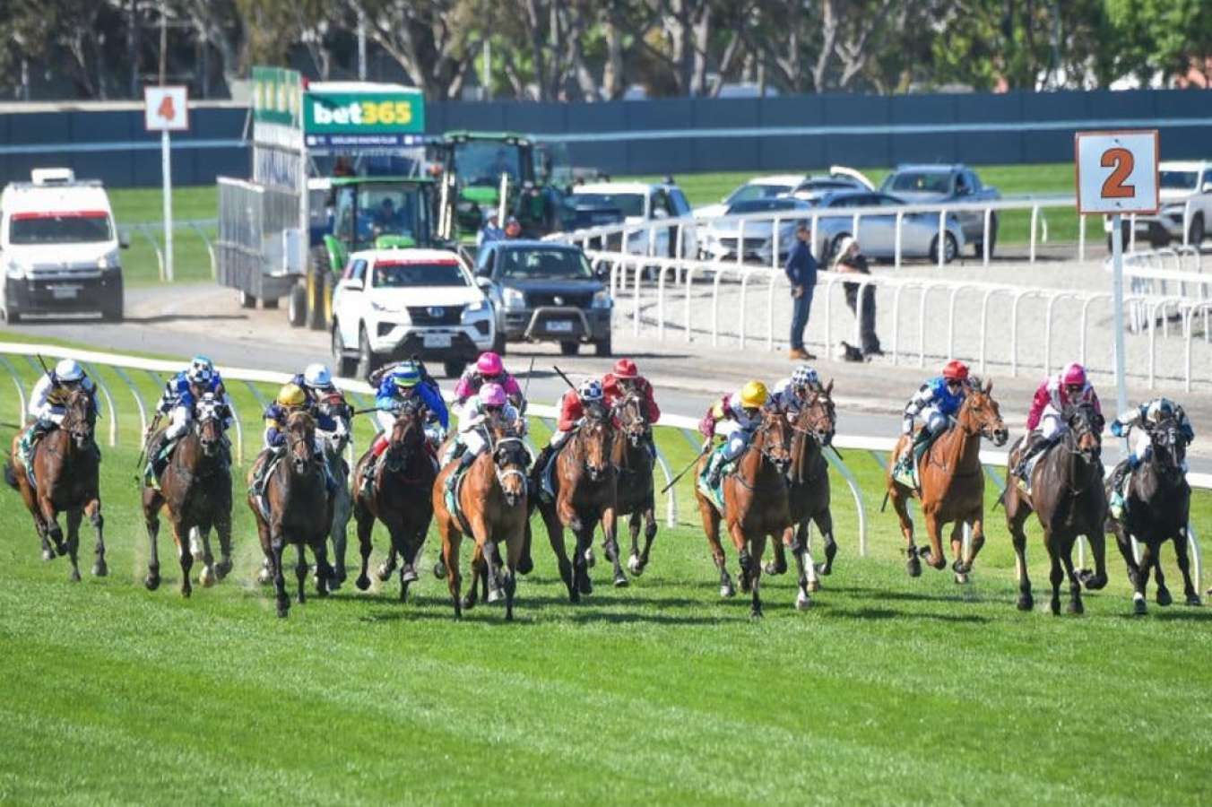 Geelong tips and best bets 11 valueplay