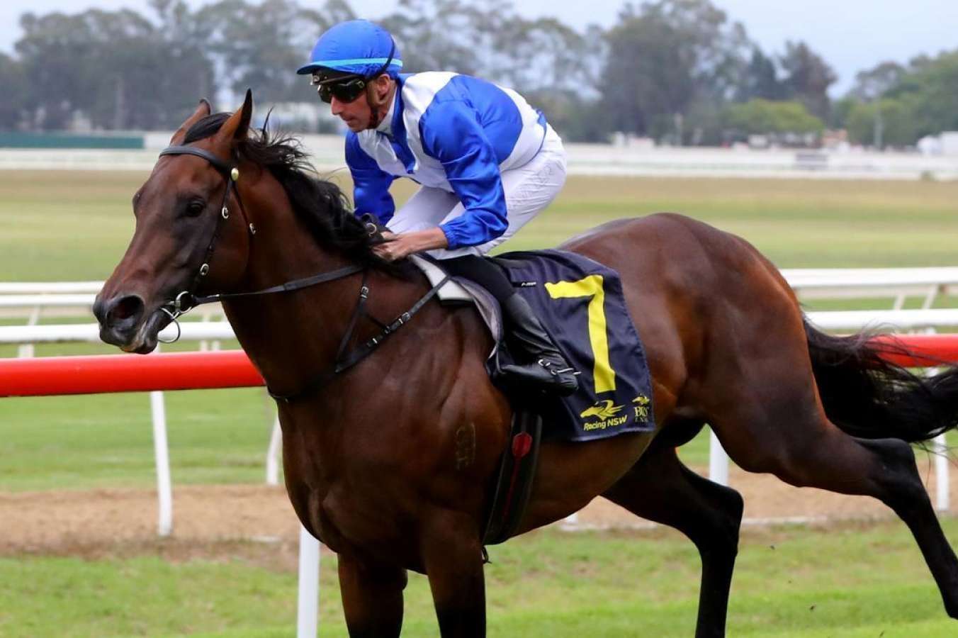 Sprint trio make Everest pitch with trial wins