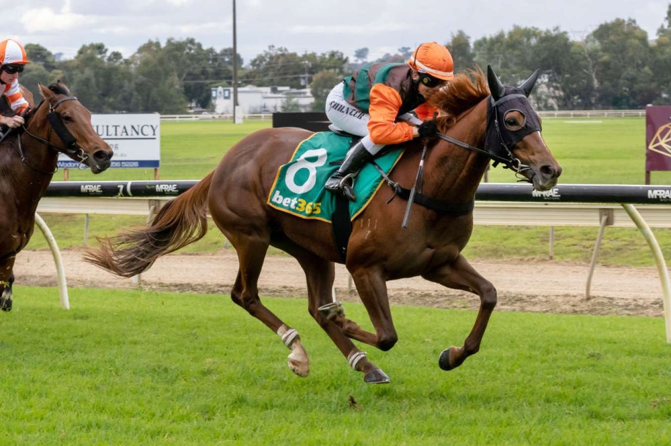 In A Twinkling will race at Caulfield