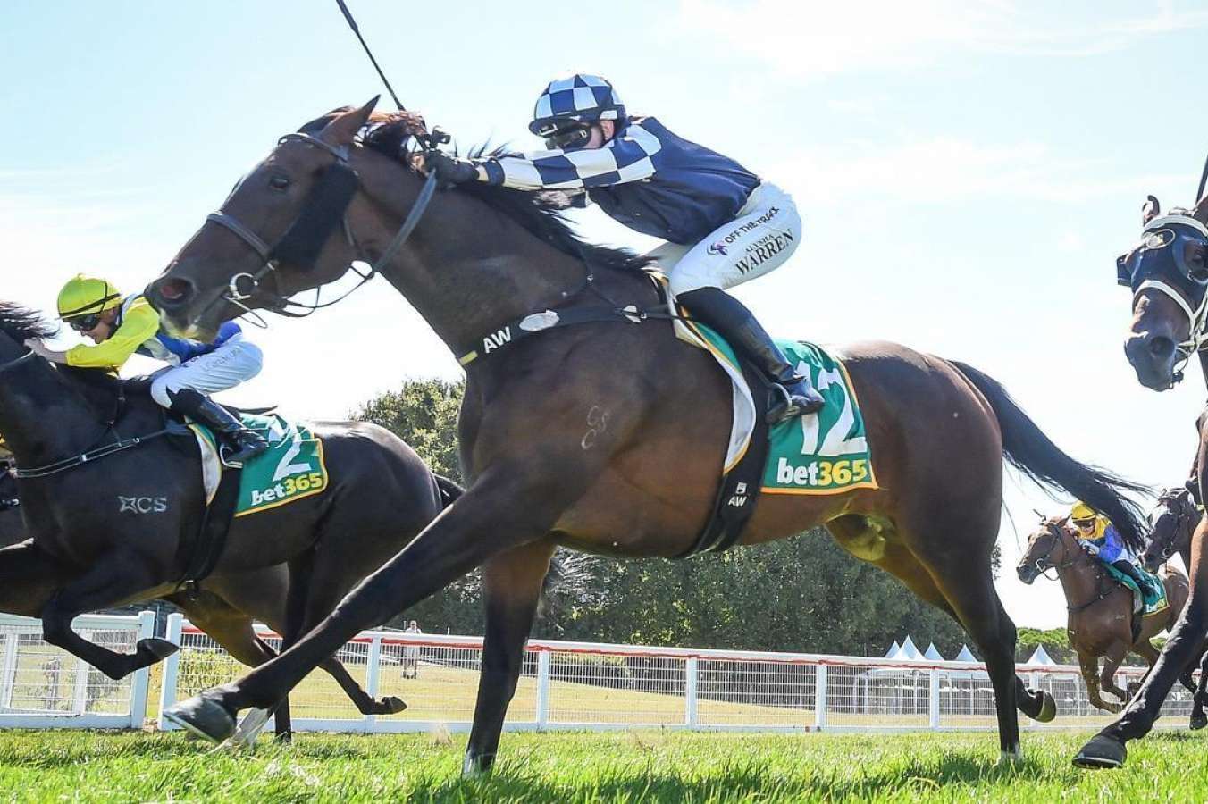 Lady Shalaa is a chance for back-to-back wins