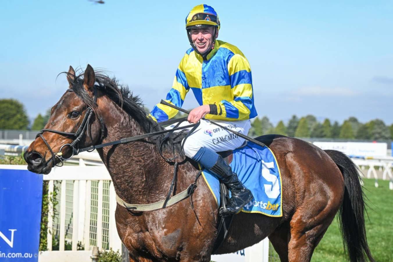 Jumps jockey conscious after nasty fall at Ballarat