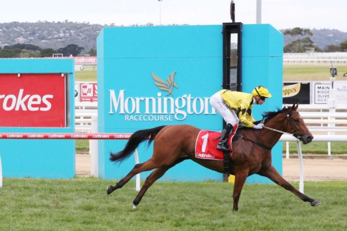New training track for Mornington