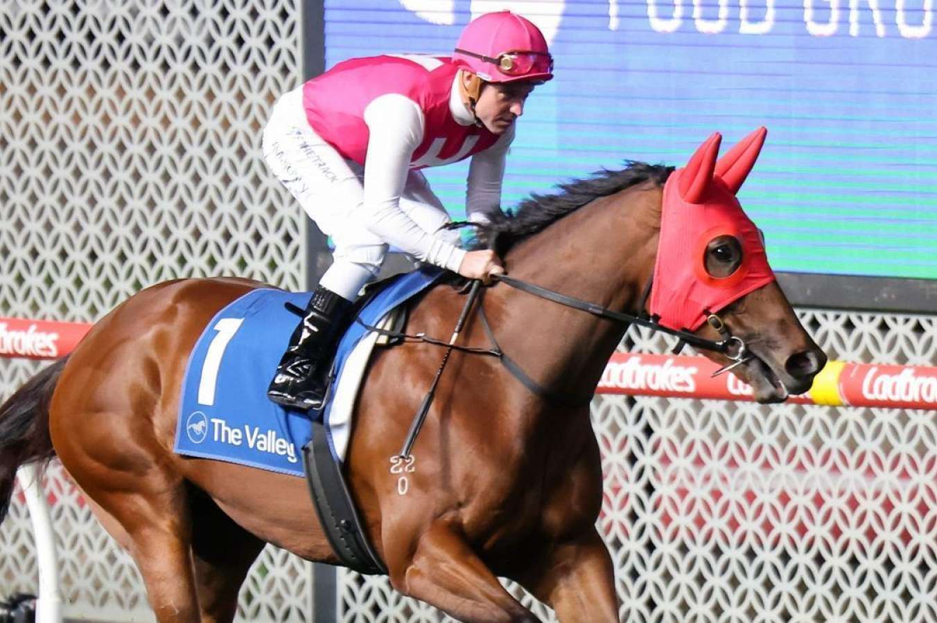 Gollan pulls up stumps on millionaire filly Skirt The Law's spring