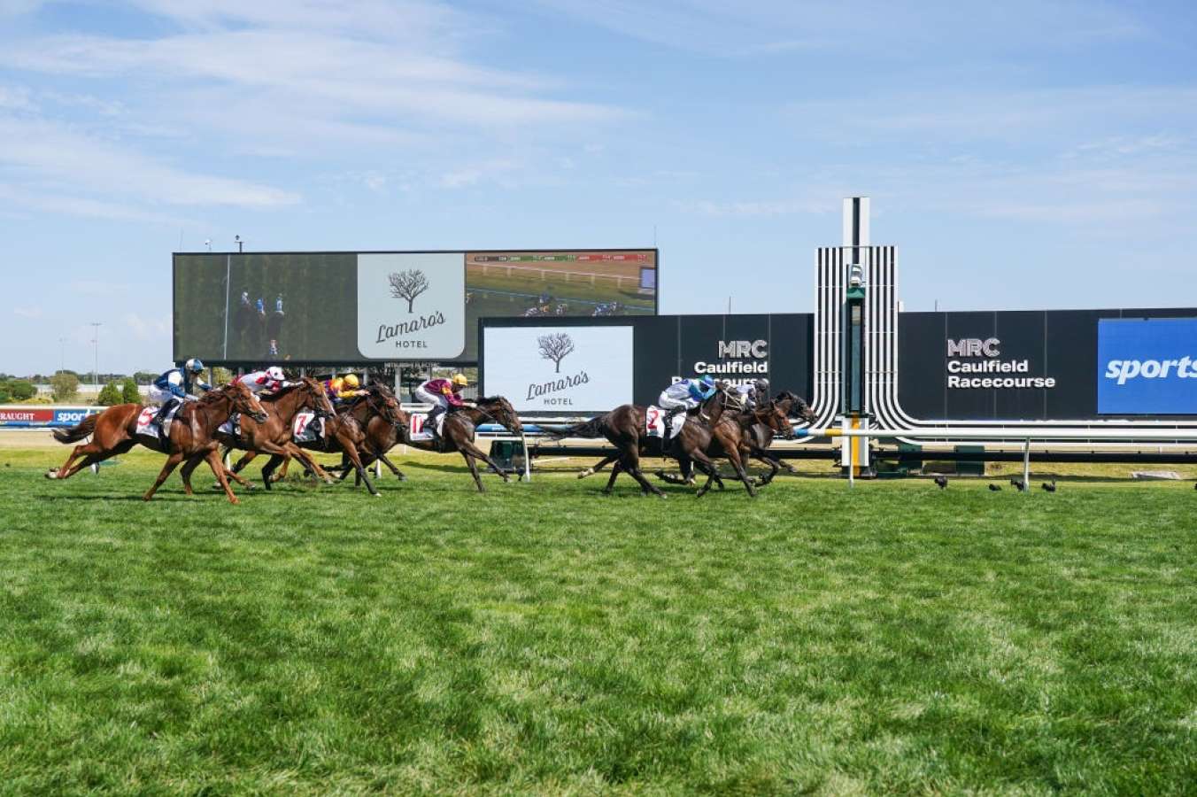 What The Jockeys Said 2025 Futurity Stakes The Futurity Finish Was A Ripper 1740201749 1352x900 