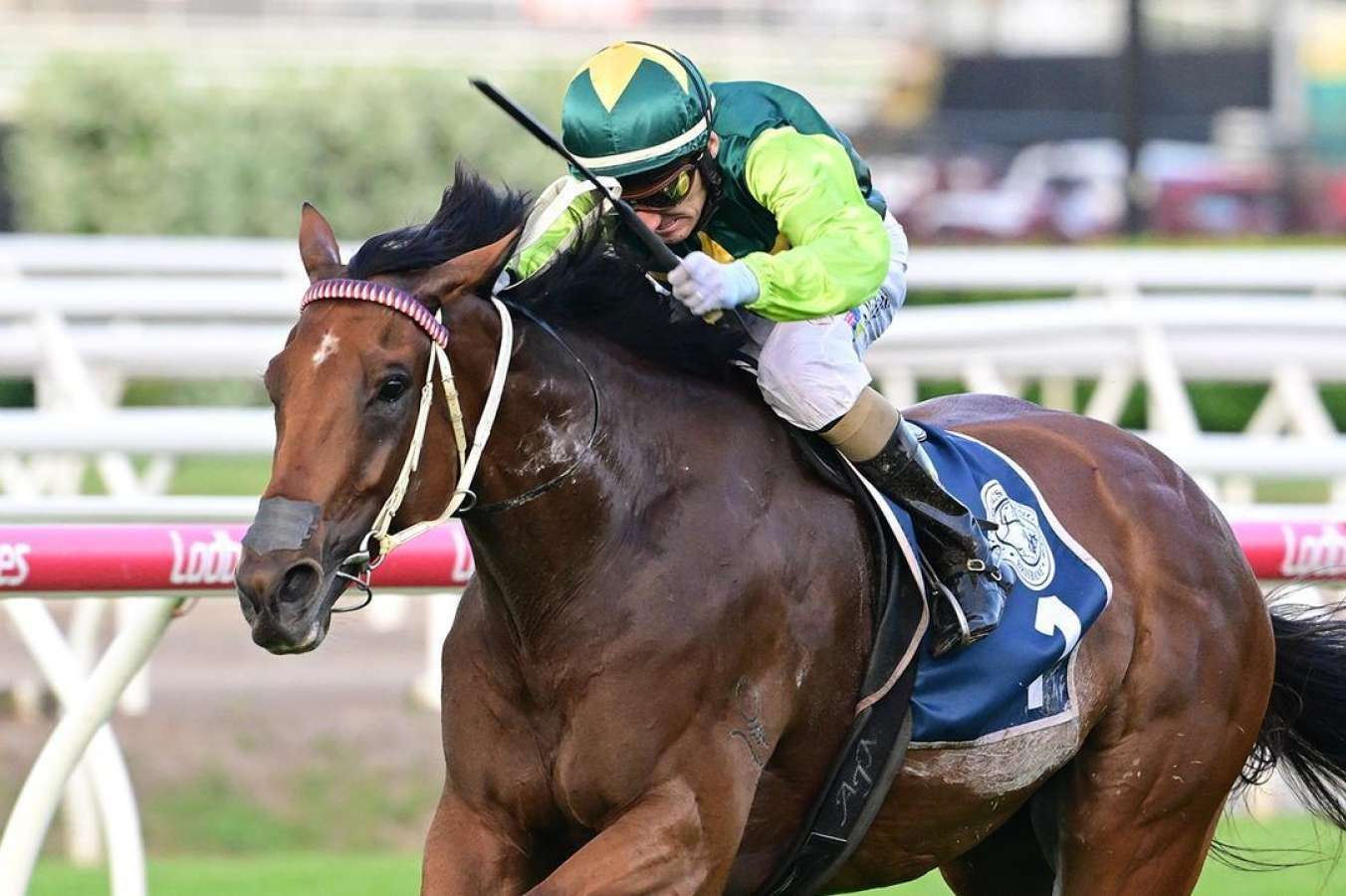 Yellow Brick back on road for Sydney riches after Eagle Farm win