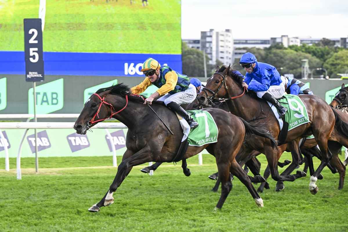 Tab Horse Racing Sky Channel Rain Lord Thoroughbred Horse Profile