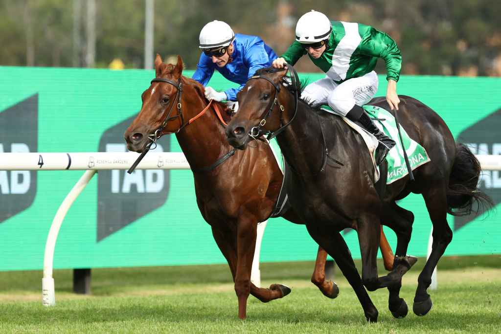 Races Golden Slipper 2026 Betting, Field, Odds Tips