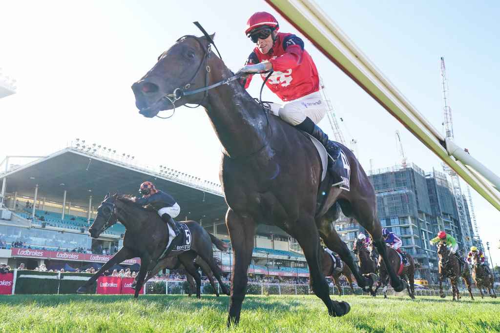 Races William Reid Stakes 2026 Betting, Field, Odds Tips