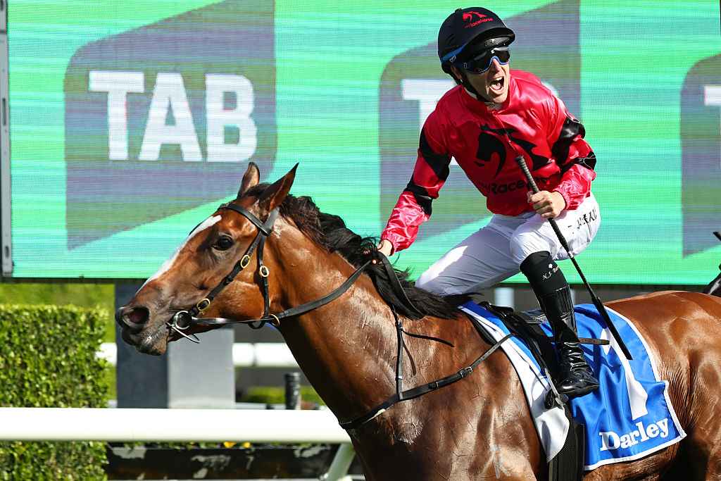 Races Flight Stakes 2026 Field, Tips, Odds Results