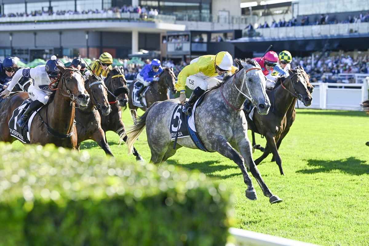 Racing Tips Tomorrow's Racing On Itv Racing Tips Itv Horse