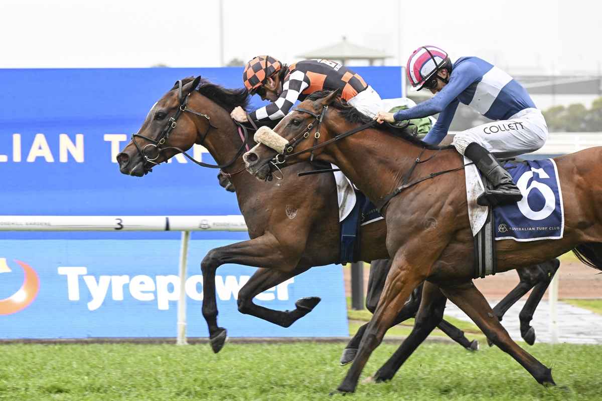 Races Rosehill Gold Cup 2025 Betting, Field, Odds Tips