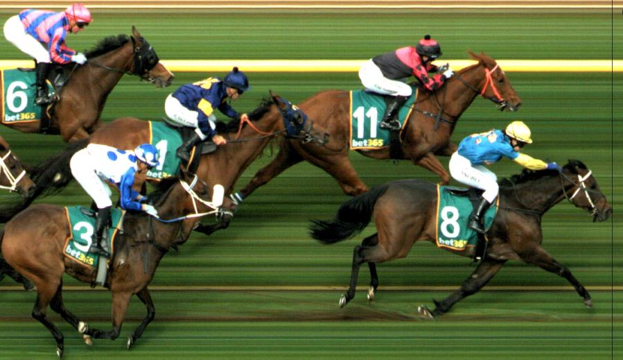 The Punters Awards: Our offbeat review of the 2023/24 racing season