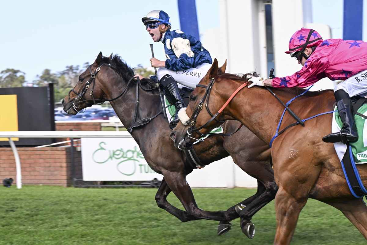 The Gong 2025 Betting, Field, Odds Tips