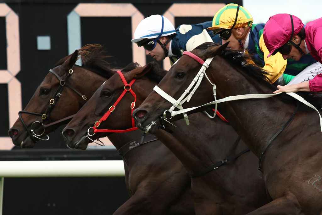 Races George Ryder Stakes 2026 Betting, Field, Odds Tips
