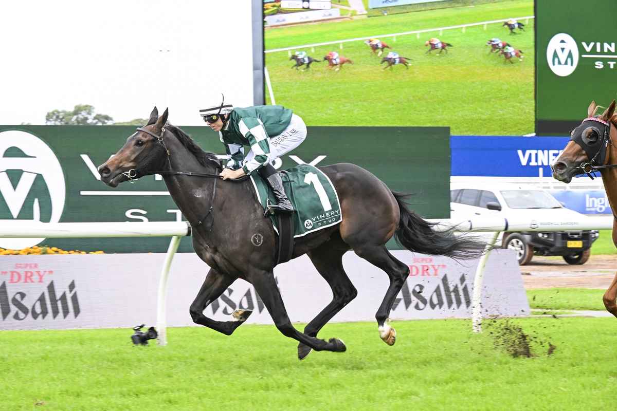 Races Vinery Stud Stakes 2026 Betting, Field, Odds Tips