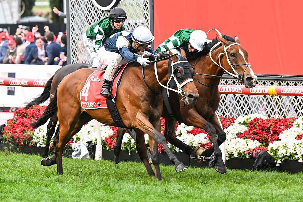 Cox Plate 2026 Field, Tips, Odds Results