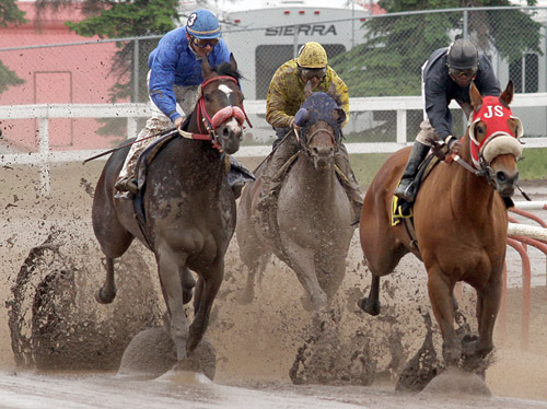 Horse Racing Track Conditions & Ratings - Punters.com.au