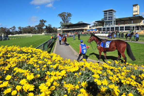 Bendigo Racecourse & Races - Punters.com.au