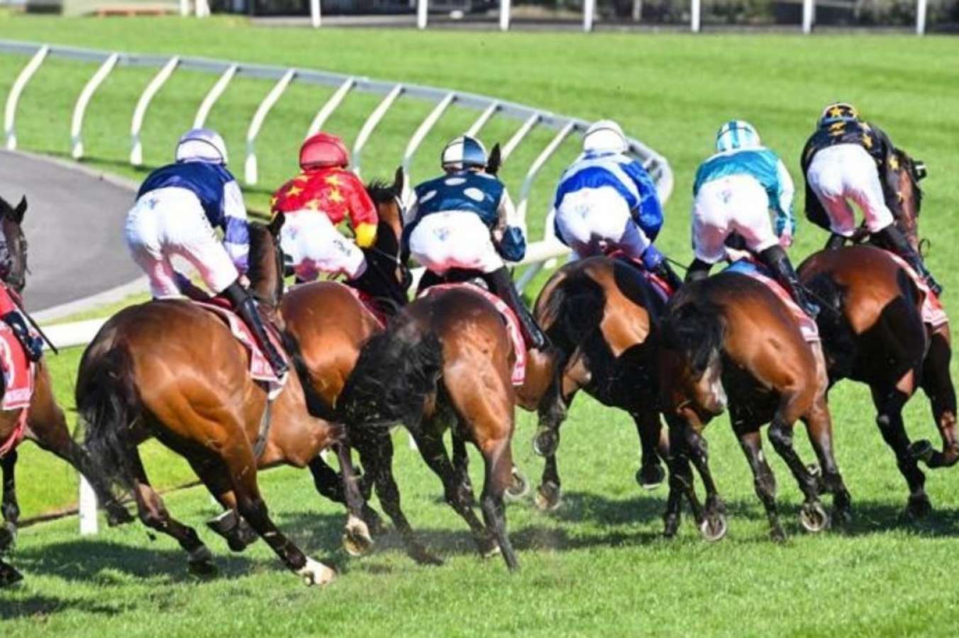 Racing Victoria to help trainers with 3m fund