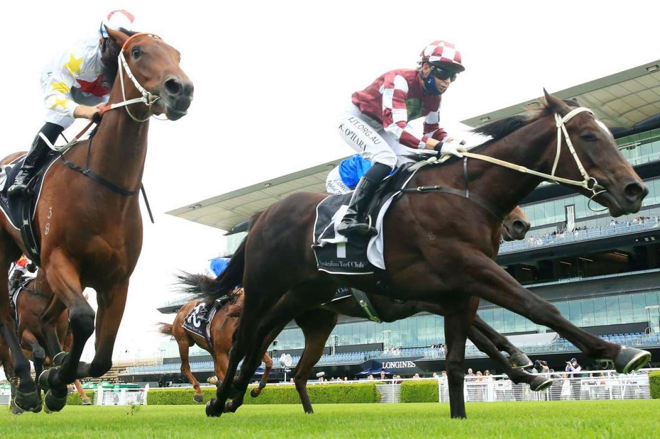 Rocket Tiger's form is hard to fault heading into the Black Opal Stakes. Picture: Getty Images