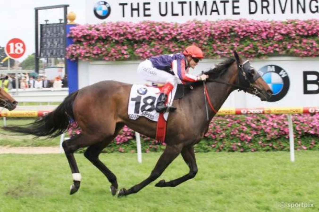 Boss the new rider for Southern Speed