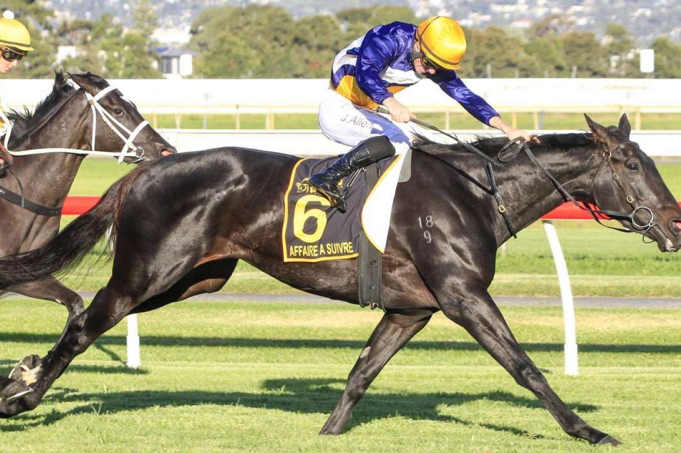 Ciaron Maher backs South Australian Oaks form in Queensland - Vimarsana News