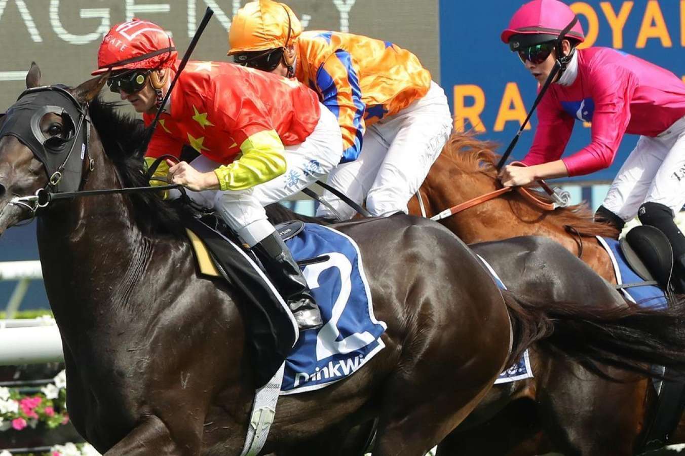 James McDonald booked to ride Artorius at Royal Ascot