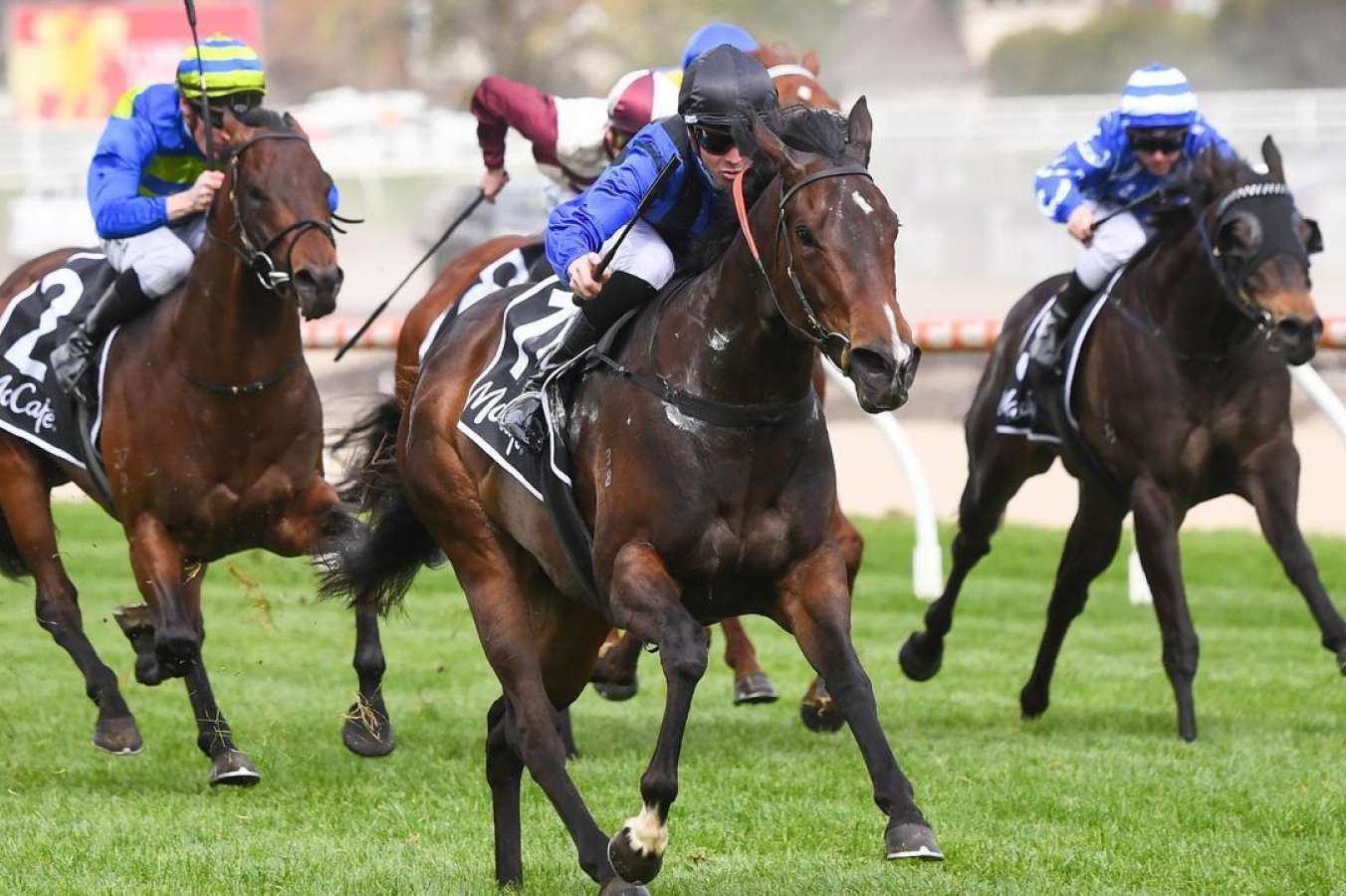 Asfoora will provide big test for Amelia's Jewel in The Quokka - Vimarsana News