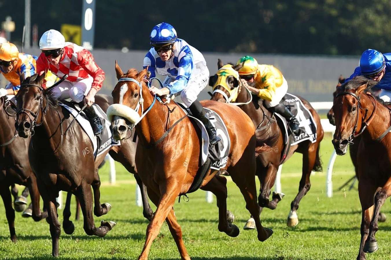 Peter Moody and Katherine Coleman look to end Queensland Derby filly