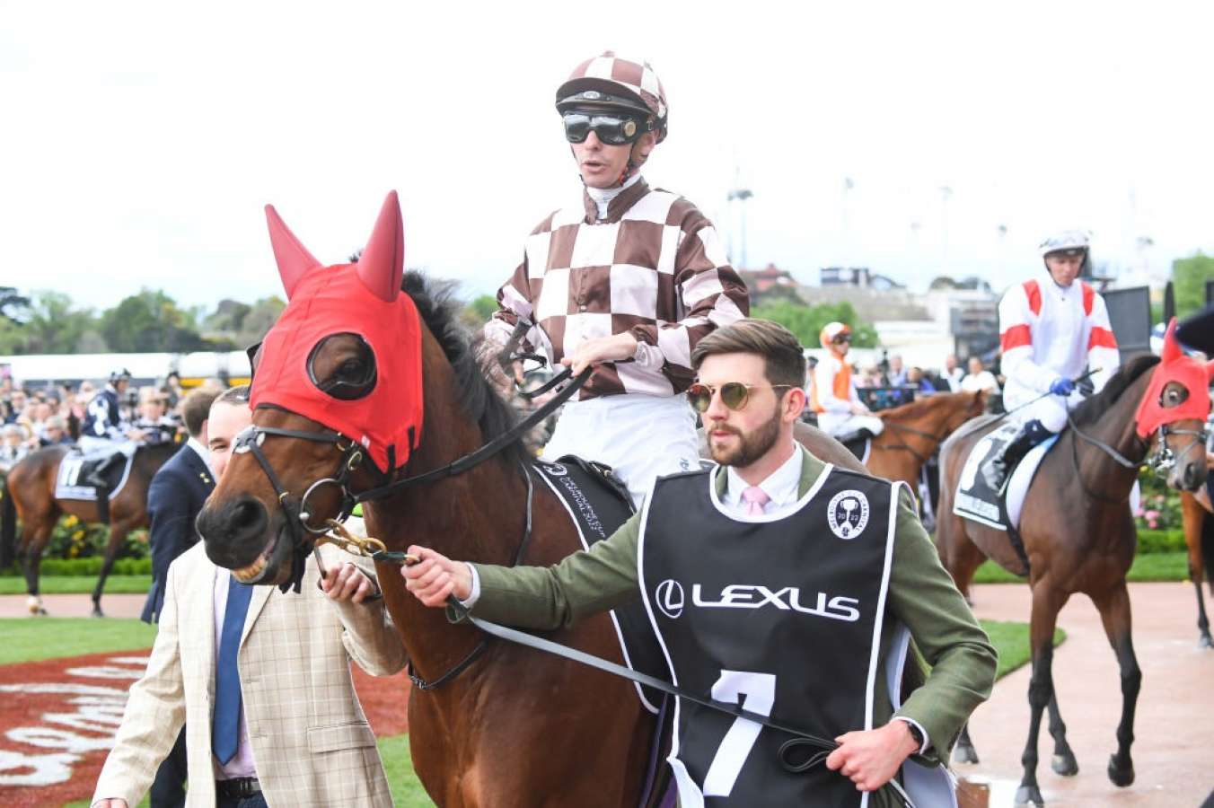 Breathtaking Kiwi Punter Eyes $730,000 Melbourne Cup Payday Capture for Your Screen Breathtaking Kiwi Punter Eyes $730,000 Melbourne Cup Payday Capture for Your Screen