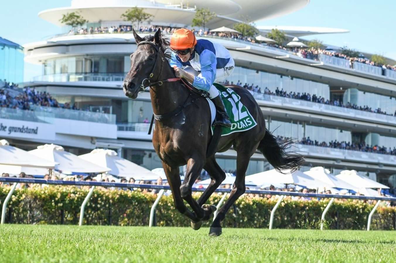 Cummings to decide Melbourne or Sydney for Duais