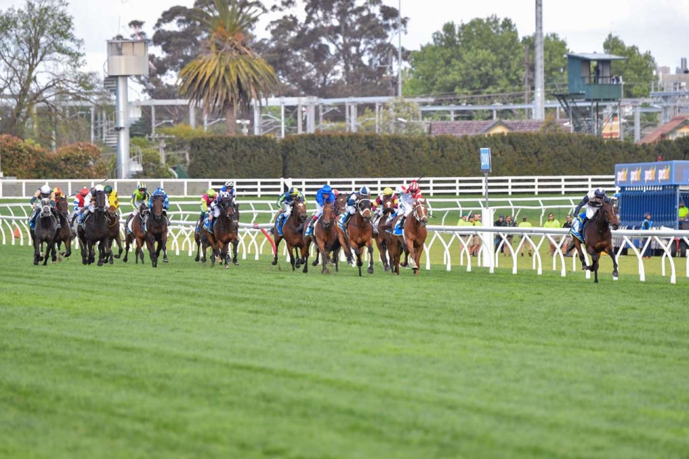 Duke De Sessa wins 2024 Caulfield Cup