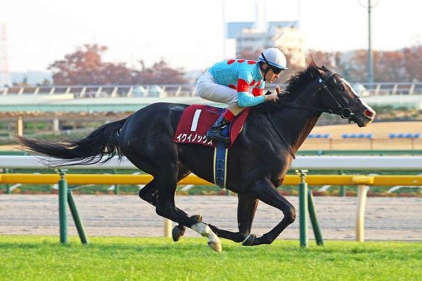 Incredible Equinox cruises to Japan Cup win