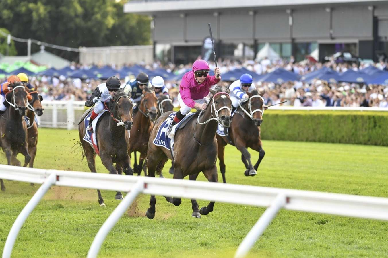 King Charles III Stakes Tips 2024