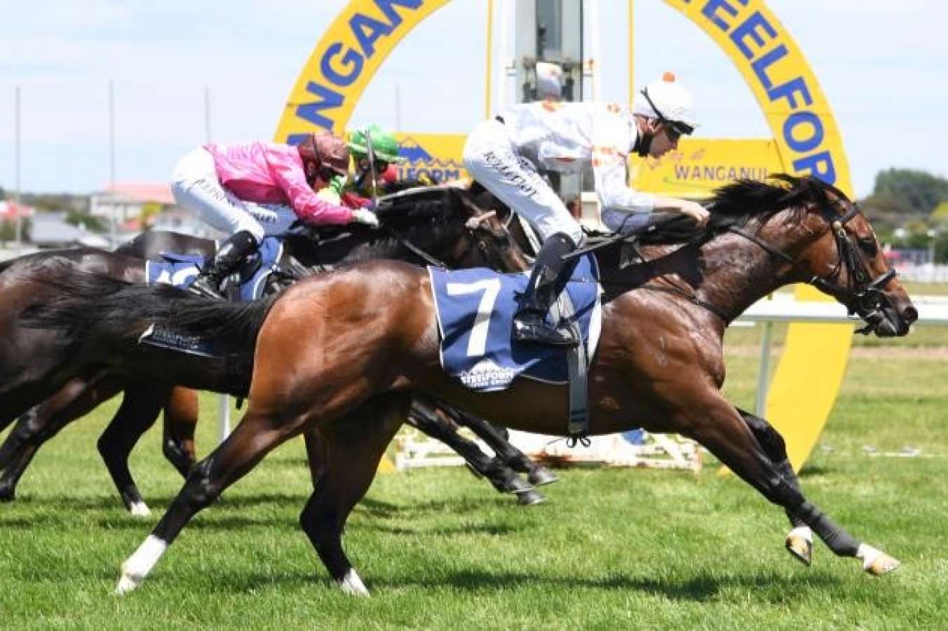 Ben and JD Hayes acquire 'potential G1 horse' from New Zealand - Vimarsana News