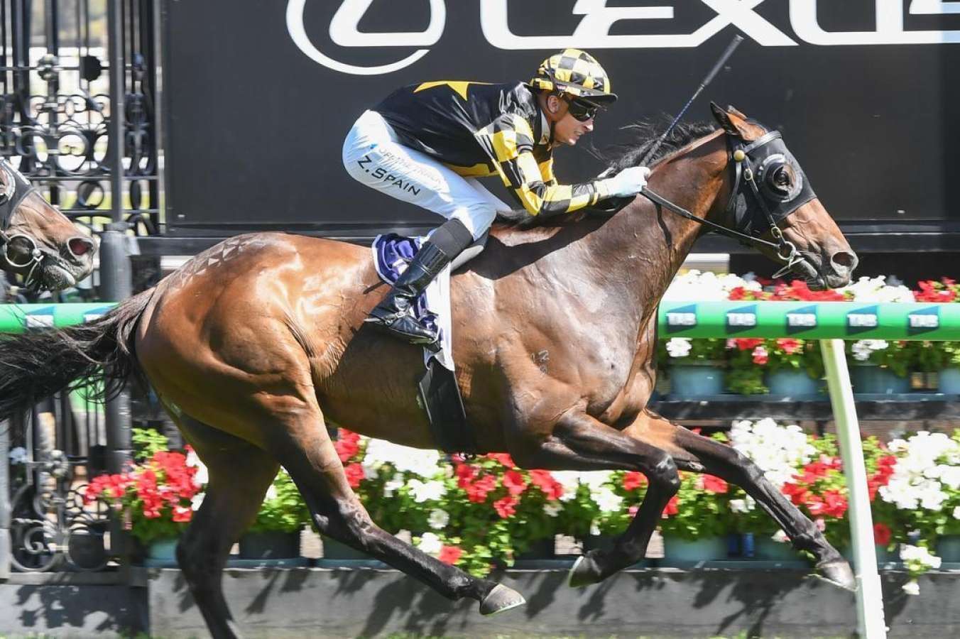 2025 Bagot Handicap Grand Pierro eyes Melbourne Cup