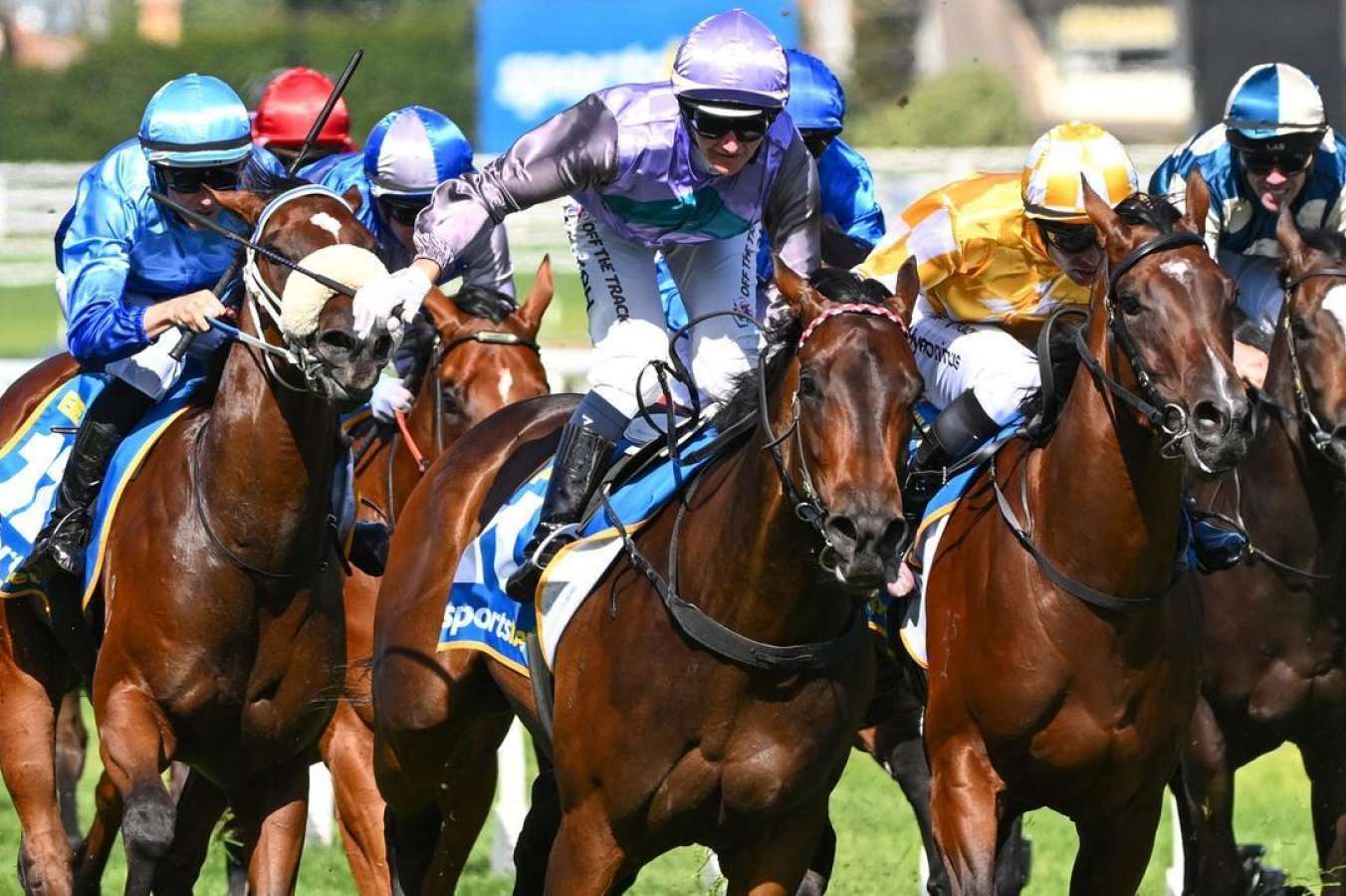 Clinton Mcdonald Racing Clinton McDonald aiming Blue Diamond winner Hayasugi at Group 1 spring ...