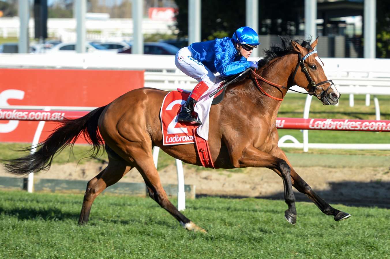 Hartnell still impressing Kate Grimwade