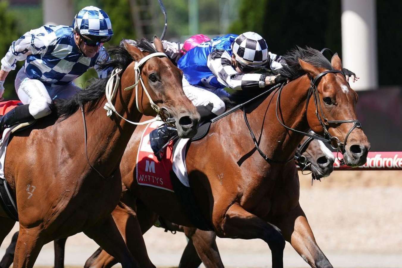 Imported gelding Kettle Hill breaks 834day win drought at The Valley