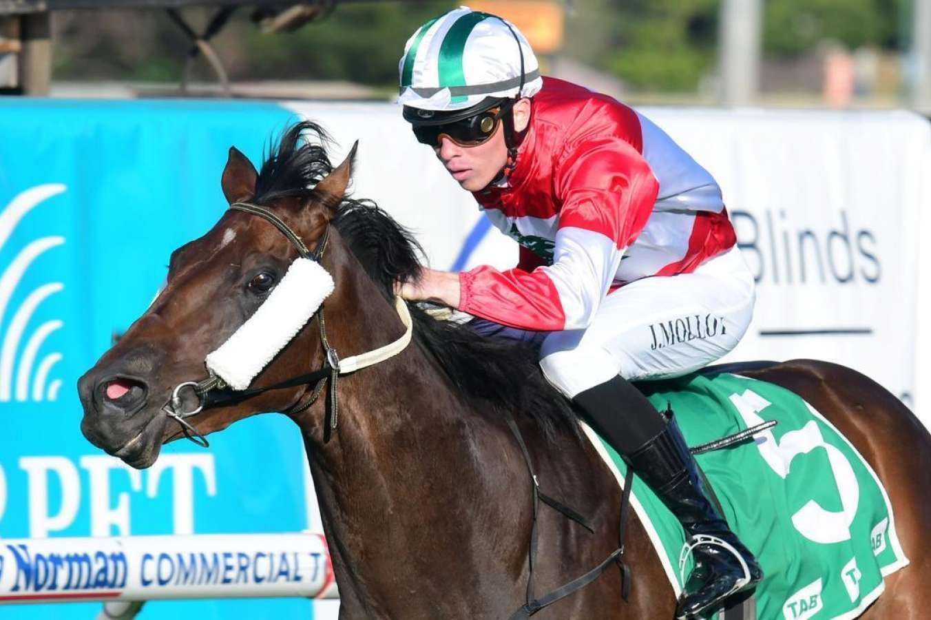 Preview, tips and best bets for Ipswich: Wednesday, July 19