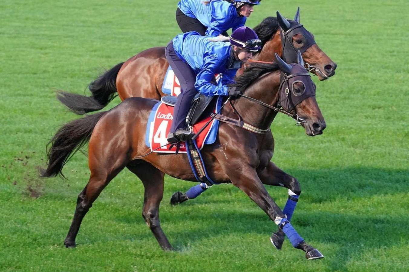 2024 Cox Plate field and barrier draw