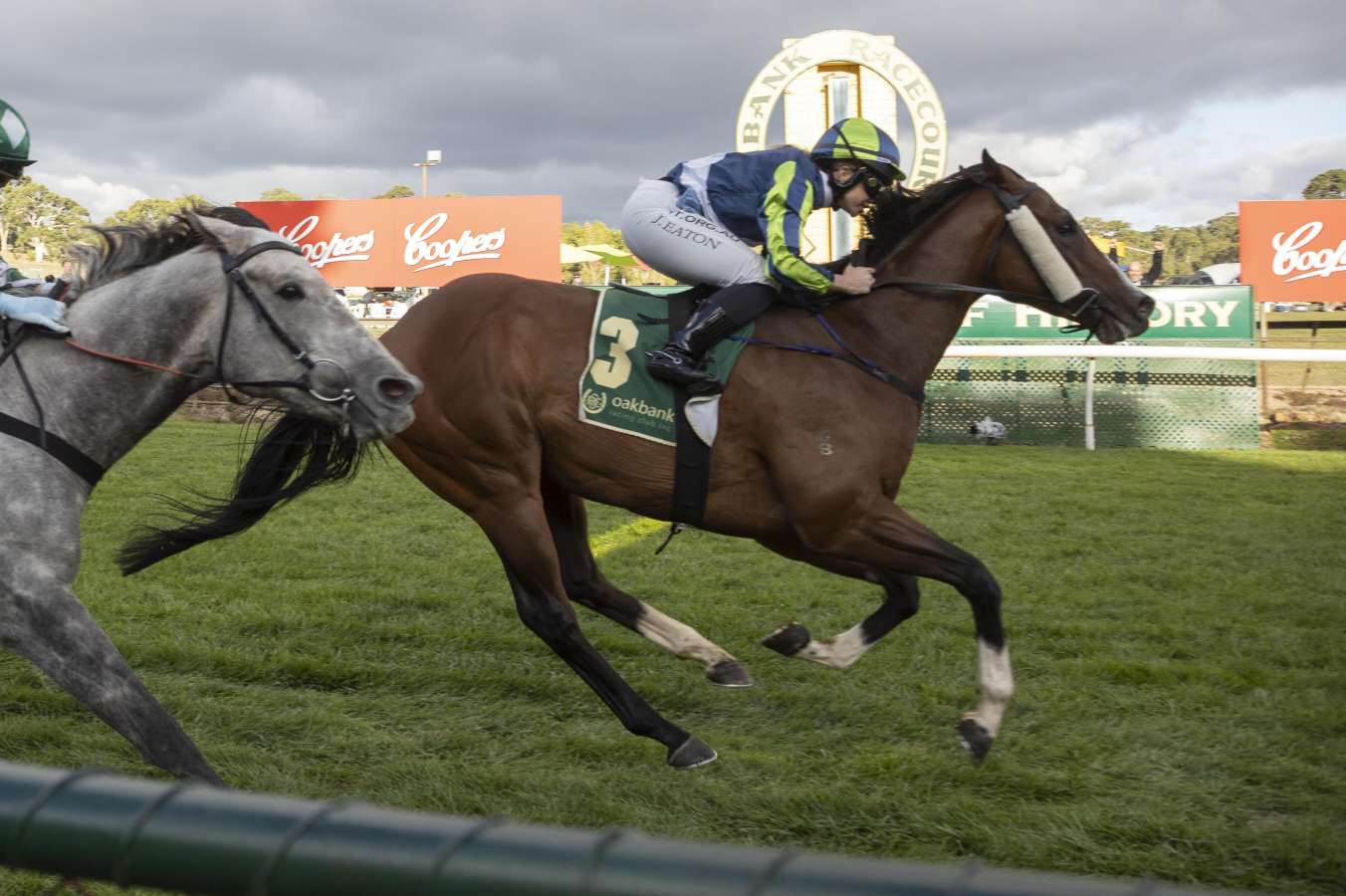 Easter delight as Taunting delivers for Michael Hickmott at Oakbank - Vimarsana News