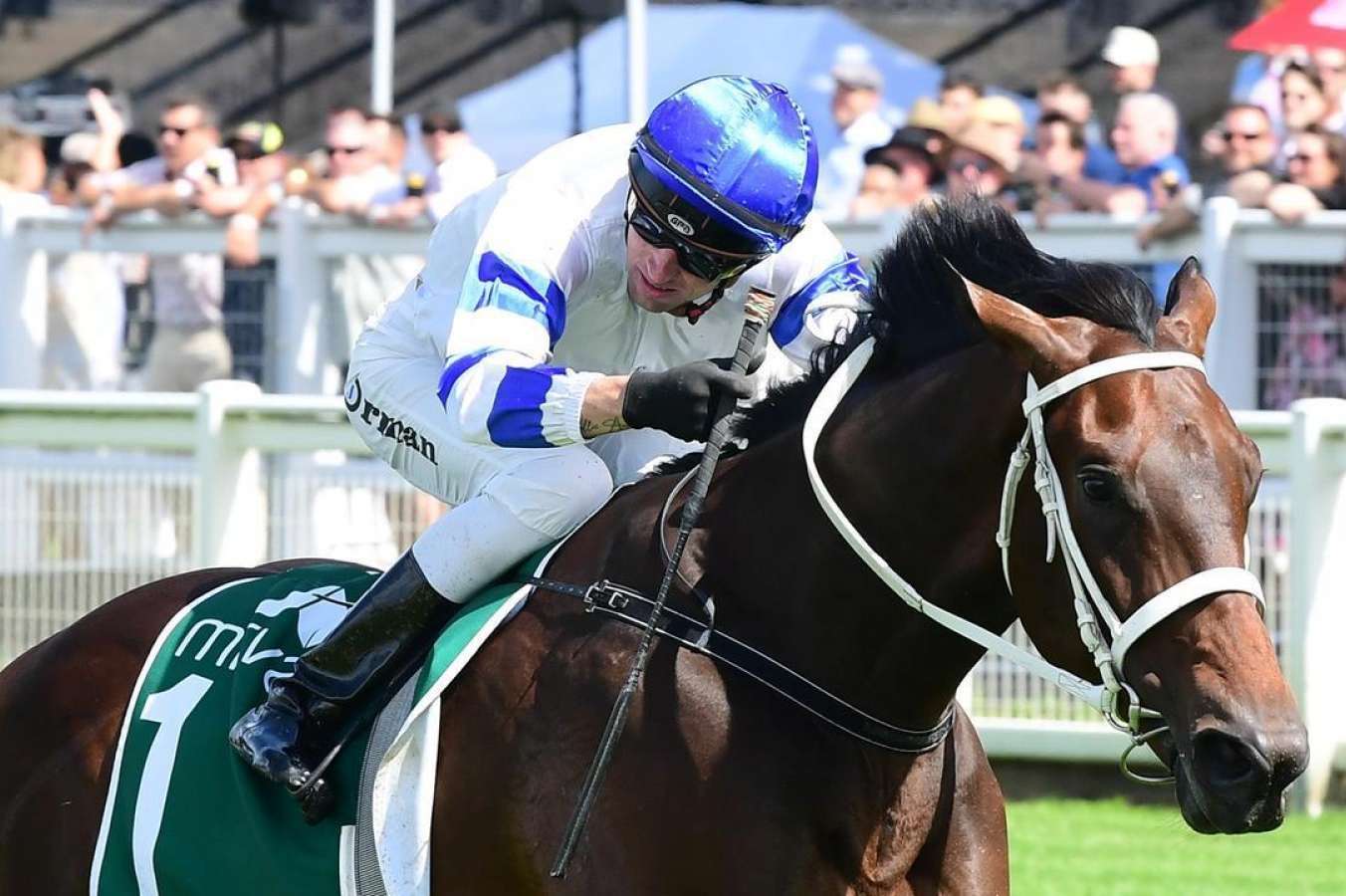 Millions postponement wreaks jockey havoc with jockey suspensions